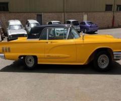 Ford Thunderbird 1965, Automatic - Palmerston